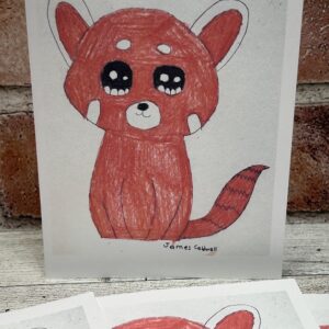 Red Panda Notecard Set (by Jay)
