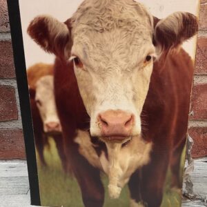 Farm-Themed Altered Composition Notebook