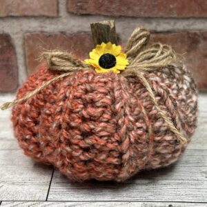 Crochet Pumpkin in Orange #1