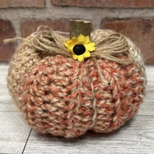 Crochet Pumpkin in Orange #2