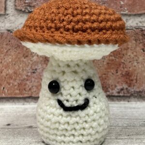 Adorable Crochet Mushroom